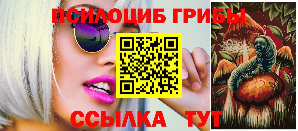 Галлюциногенные грибы Cubensis Лабытнанги