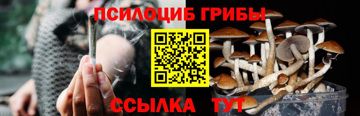 Лабытнанги  Псилоцибиновые грибы MAGIC MUSHROOMS  Вход с VPN  Галлюциногенные грибы Magic Shrooms 